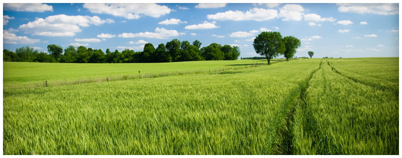 scenic view